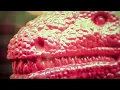 Local Natives - Wide Eyes | HibOO d'Live
