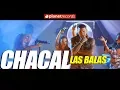Download Lagu CHACAL - Las Balas (Video Oficial by FREDDY LOONS) Reggaeton Cubano Cubaton 2018