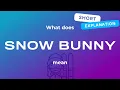 Snow bunny meaning