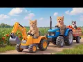 Ginger Kitten Helps Mama Cat Harvest Tomatoes with a Giant Toy Excavator Chill \u0026 Healing Video 🐾😻🍅