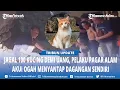Download Lagu Sudah Jual 100 Daging Kucing ke Warga, Sujady Ternyata Ogah Cicipi Dagangannya Gak Boleh