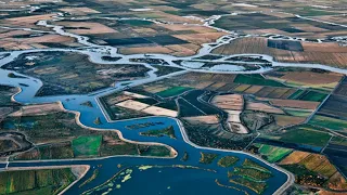 THE DELTA OF CALIFORNIA
