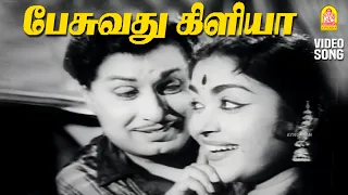 pesuvathu kiliya hd video song panathottam mgr saroja devi