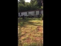 Faulkner County Arkansas Dog Hoarding