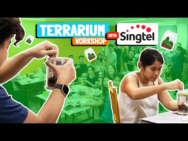Singtel staff build terrariums at a FunEmpire workshop