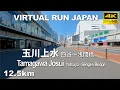 Virtual Run Tokyo Tamagawa Josui Aqueduct Yotsuya - Sengen Bridge Japan 12 5km