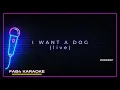 weezer · i want a dog (live) (karaoke version)