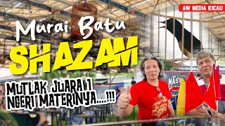 ngeri materinya murai batu shazam mutlak juara 1 di kicau mania peduli sumatra masterpiece arena