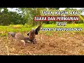 Download Lagu Tidak masuk akal,suara dan permainan tidak seperti yang di harapkan