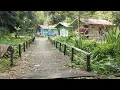 Download Lagu KAMPUNG DAYAK, MUSLIM, DI PEDALAMAN KALIMANTAN, DESA TEWANG PAPARI, KEC PULAU MALAN, KAB KATINGAN