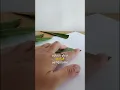 Leaf Printing Craft Activity For Preschoolers