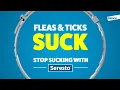 Stop Sucking with Seresto The Longest-lasting Flea and Tick Collar