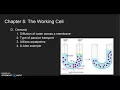 Chapter 5 The Working Cell Part 1