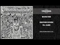 Download Lagu Wolfbastard - Graveyard Sessions [Full Album]