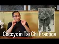 Lagu Internal Style Concepts (70): Coccyx Practice in Tai Chi