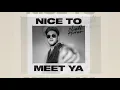 Niall Horan - Nice To Meet Ya (Lyrics)