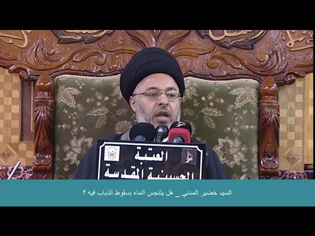 ⁣السيد خضير المدني _ هل يتنجس الماء بسقوط الذباب فيه ؟