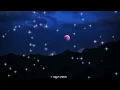 HASRAT - aleemrk (Lyrics)