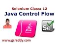 Selenium 12 Java Control Flow Statements