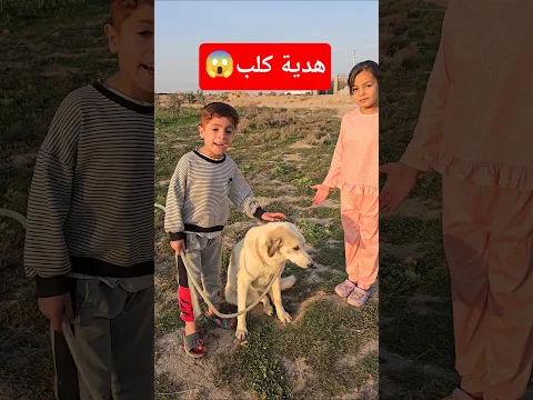 كنان جايب كلب لجناوي 😳 صارت مصيبة شوف رده فعلها 😱 #اكسبلور #تيك_توك #funny #shorts #داوودالمهاجر