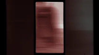 نيكولا تسلا يلتقط صورة لعمالقة العلم 