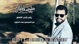 يلي بتحب النعنع طوني قطان ريمكس 
