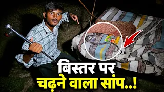 बिस्तर पर चढ़ने वाला सांप!🐍😲( Full rescue video!) #Snake #rescue 