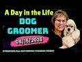 A DAY in the LIFE of a DOG GROOMER at Grande Style Pet Grooming in Tampa Dog Grooming Livestream