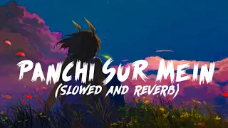 Download panchi sur mein gaate hain slowed and reverb - Sanket Studio MP3