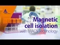Magnetic cell isolation with MACS Technology