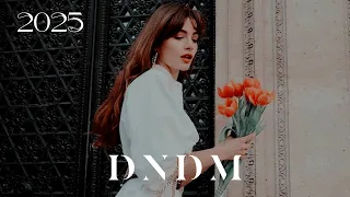 dndm u0026 mr salama gone original mix 2025