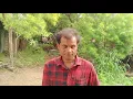 || Dilbar Mere Kab Tak Mujhe || Satte Pe Satta || Kishore Kumar