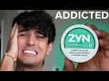 I forced myself to Zyn for 7 days