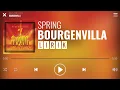 Download Lagu Spring - Bourgenvilla [Lirik]
