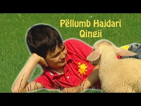 Download MP3 Pellumb Hajdari - Qingji