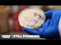 Download Lagu Less Than 1% of Japanese Sake Is Made This Traditional Way | Still Standing | Business Insider