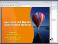 NetBeans GUI Builder Codenamed Matisse swings JFC - java tutorial 17