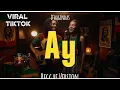 Lagu AY - D'BAGINDAS | REGGAE VERSION | BY REGVIBE MUSIC AI