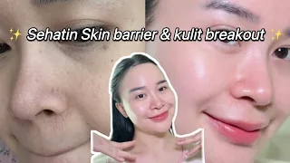 how i repair u0026 restore my breakout face and damaged skin barrier in 1 week 