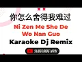 Download Lagu Ni Zen Me She De Wo Nan Guo Karaoke 你怎么舍得我难过 Dj Remix Female