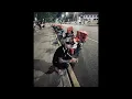 Download Lagu Vina Bounce REmix🎭💊 Nonstop Old Style Khmer Sad 💔🥀ដឹងថាបងជាប្រុសល្ងង់ REmix 🎼