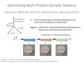 Efficient expression optimization of proteins and pathways using the RBS calculator