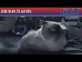 Jeda Iklan RCTI (23 Juli 2015)