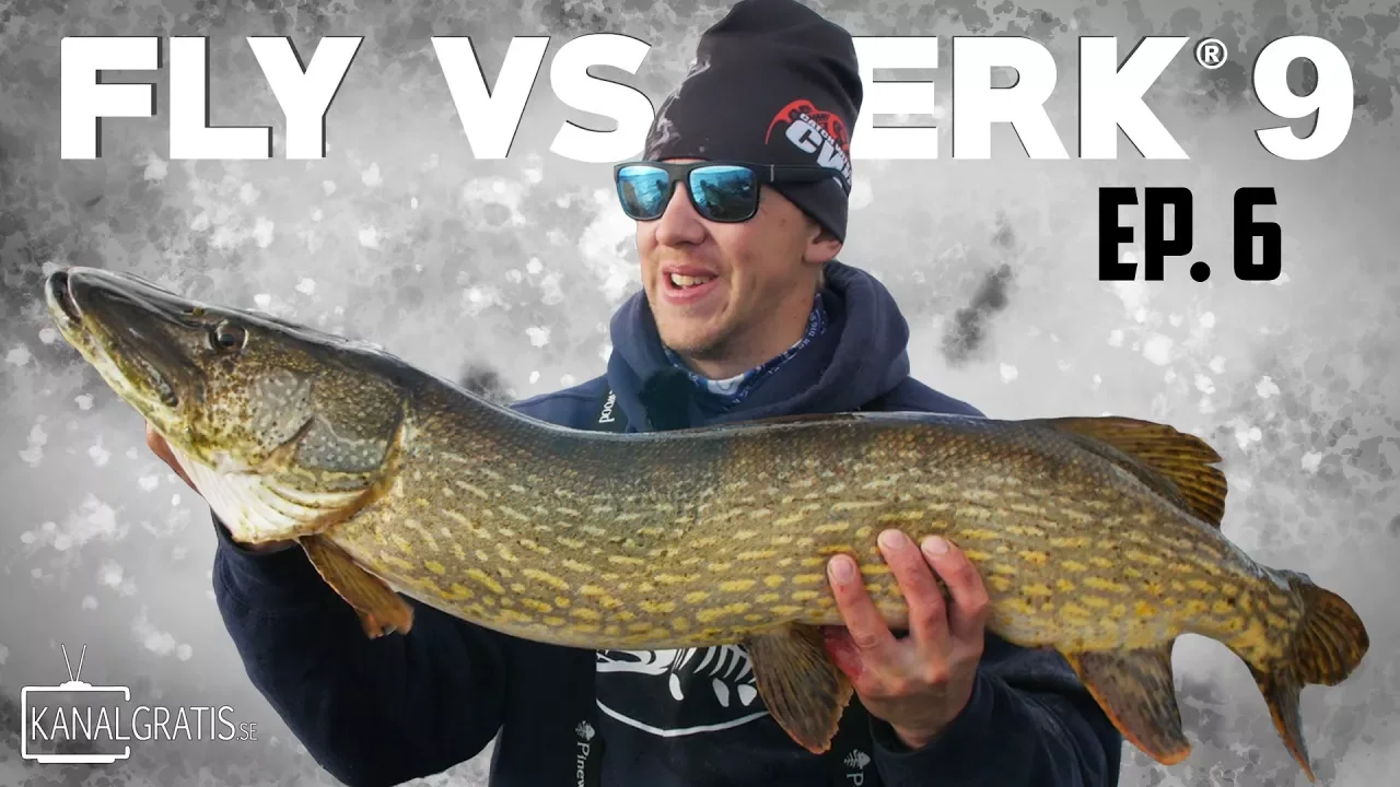 video Fly vs Jerk 9