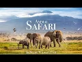 Download Lagu Animal Safari 4K - Scenic Wildlife Film With African Music