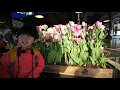 チューリップいっぱい キューケンホフ公園にいってきた