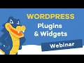 WordPress Plugins Widgets - What you NEED to Know
