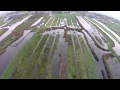 Download Lagu Omhoog met het Veen - Ilperveld 3
