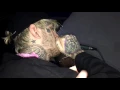 Lil Peep feat Lil Tracy - White Tee (Live in LA, 10/14/2016)