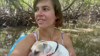 S2E21 My honeybees, kayaking with Kaijin and new boat projects (Dominican Republic)